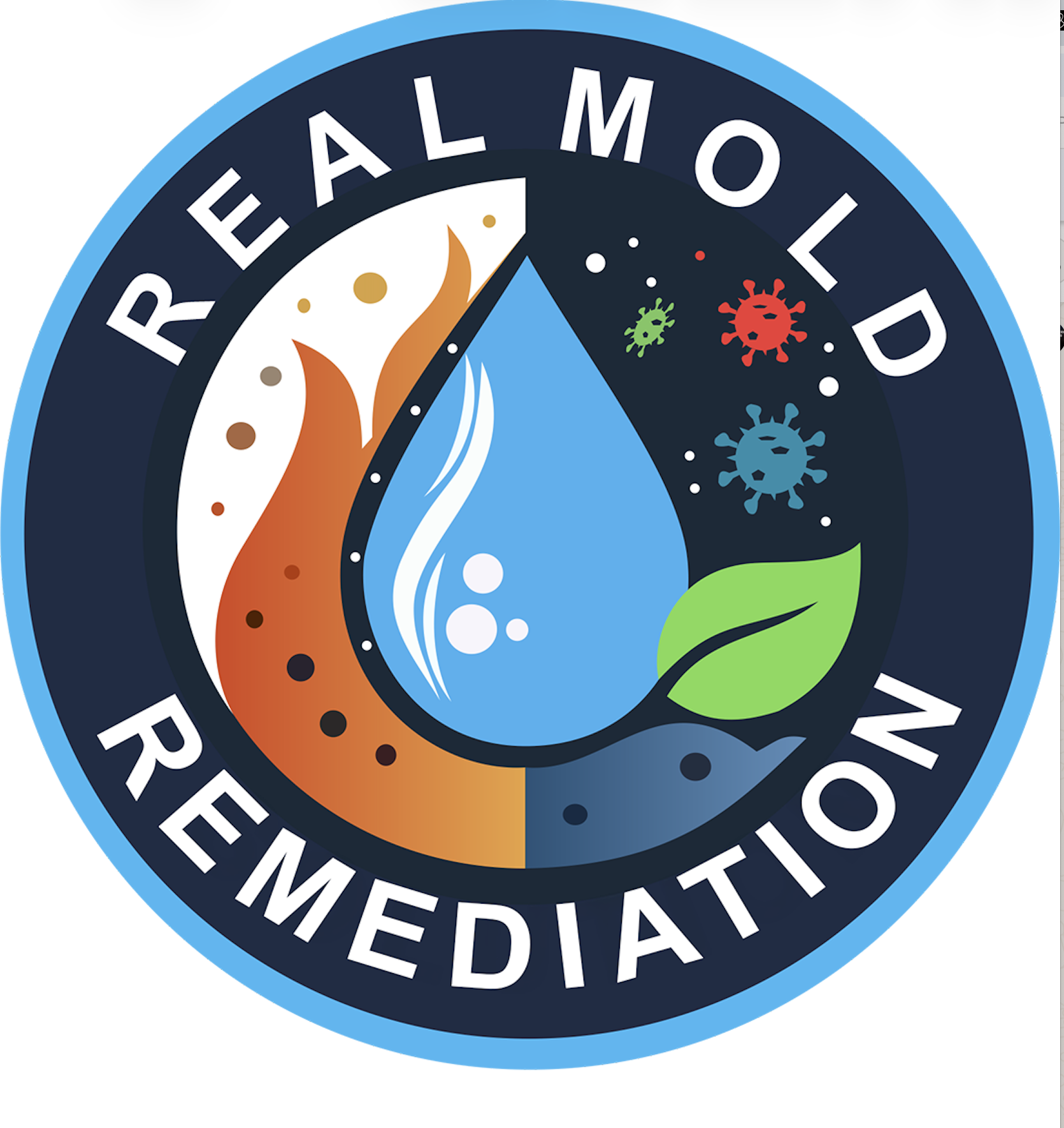 Real Mold Solution