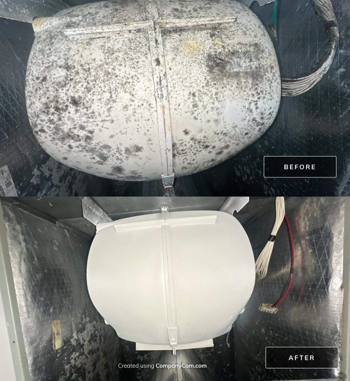 Ac Blower Compartment — Real Mold Remediation HVAC blower housing — heavy mold before, cleaned and coated after · Central Florida · before/after