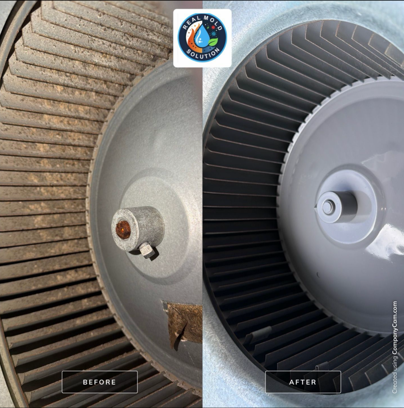 Ac Blower Section — Real Mold Remediation Kitchen mold case — cabinets · AC blower section cleaned · referenced from St. Cloud, FL service area · before/after lab cleared