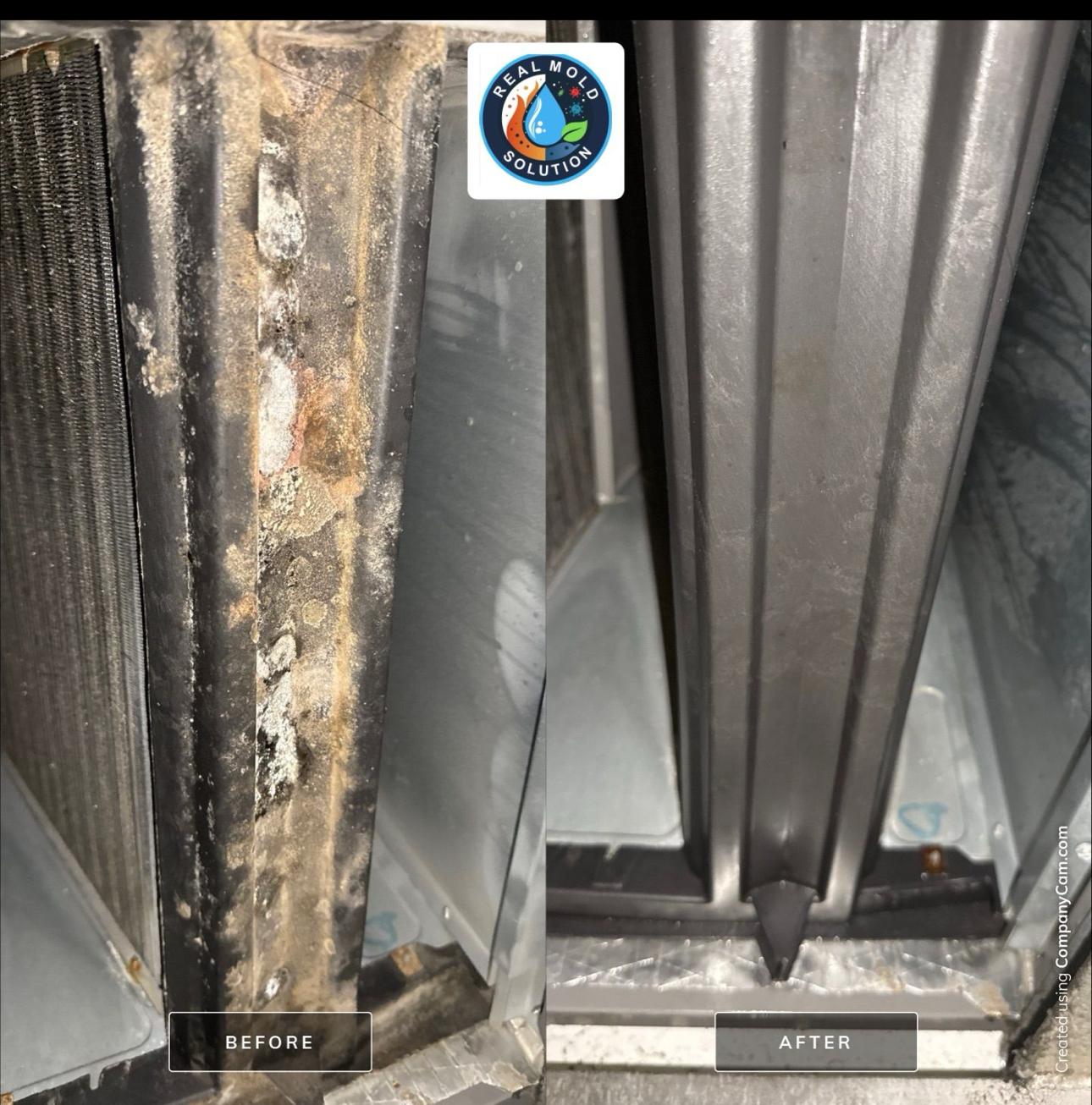 Air handler panel during EPA-compliant mold disinfection