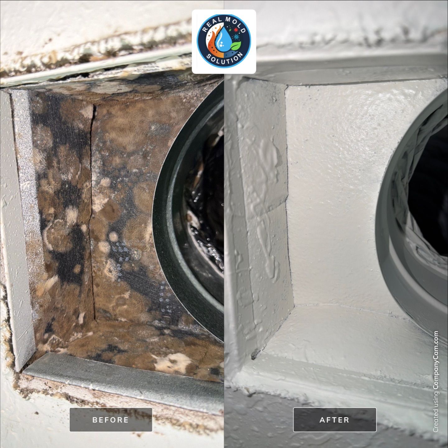 A/C duct register inspection during mold evaluation.