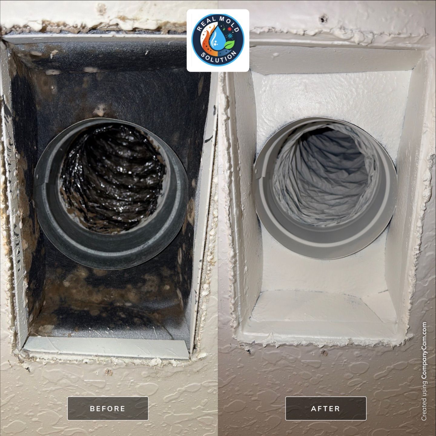 HVAC vent ductwork showing hidden mold contamination signs