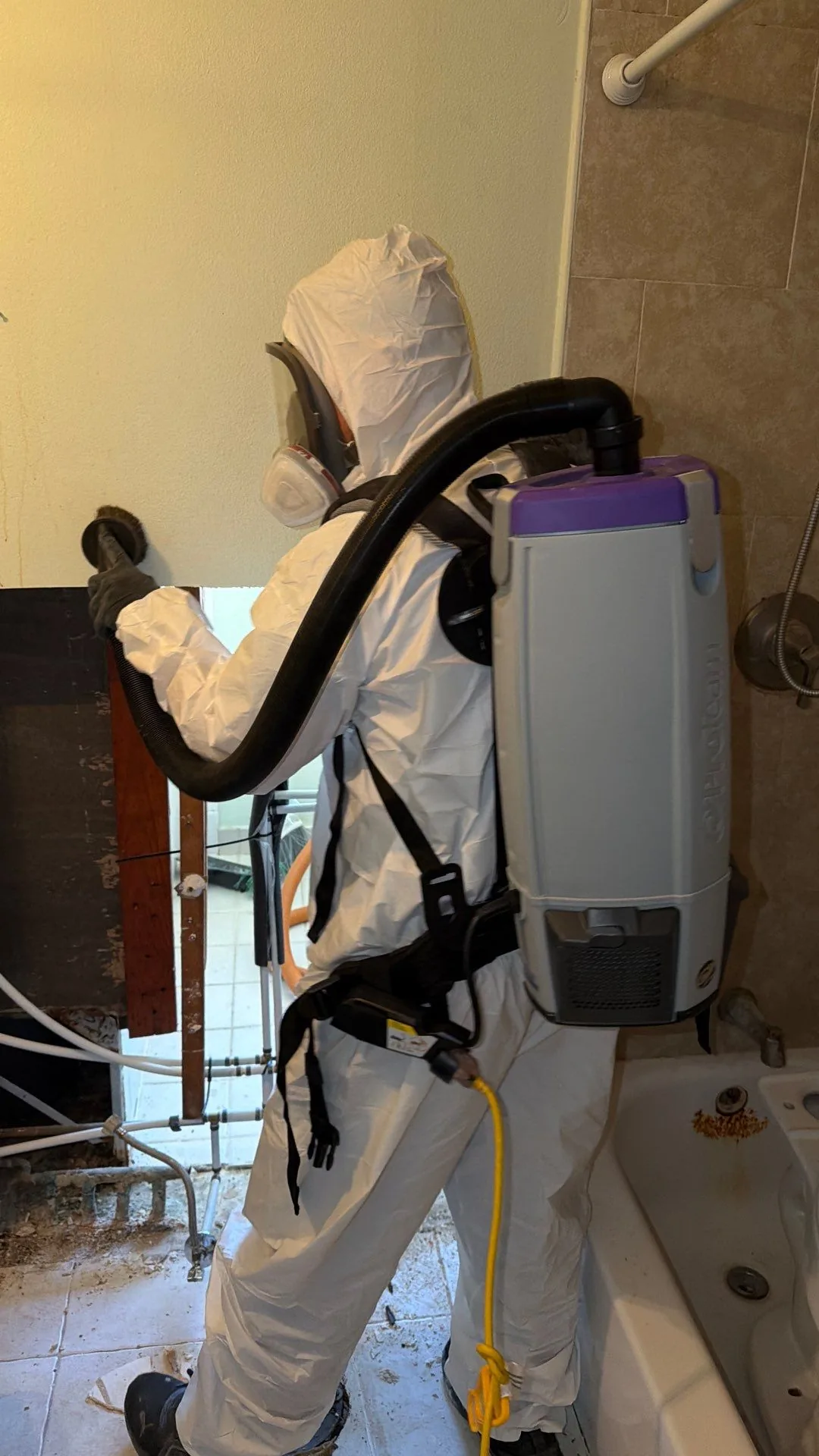 HEPA vacuum mold remediation