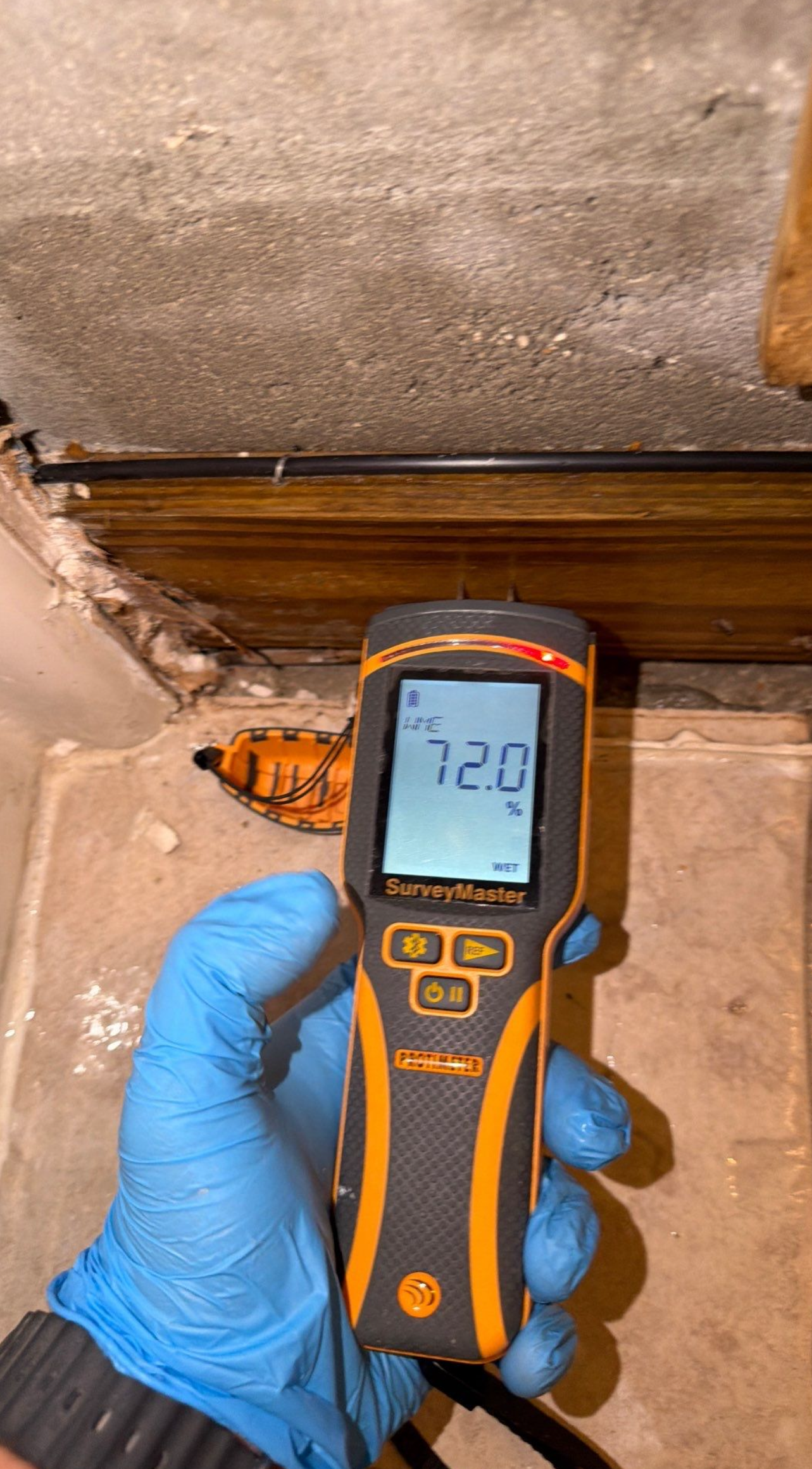 Free mold inspection in St. Cloud FL Free mold inspection moisture meter detection in St. Cloud, FL — thermal imaging + written estimate